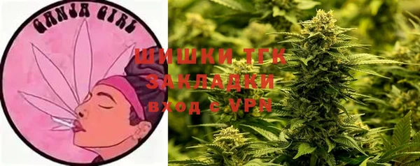 PSILOCYBIN Вяземский